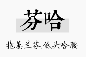 芬哈名字的寓意及含义