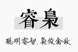 睿枭名字的寓意及含义