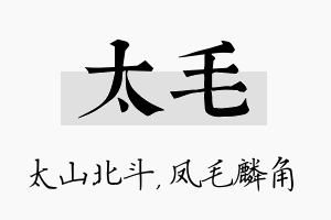 太毛名字的寓意及含义