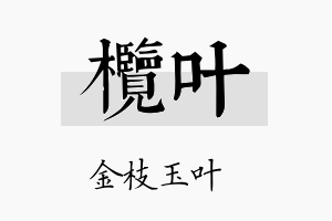 榄叶名字的寓意及含义