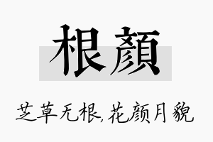 根颜名字的寓意及含义