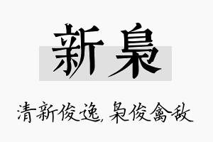 新枭名字的寓意及含义