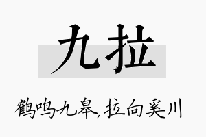 九拉名字的寓意及含义