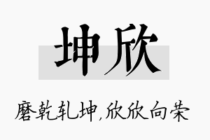 坤欣名字的寓意及含义