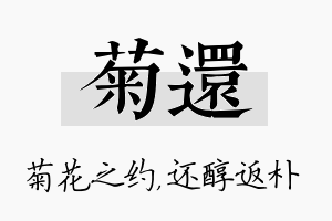 菊还名字的寓意及含义