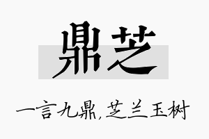 鼎芝名字的寓意及含义