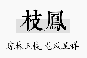 枝凤名字的寓意及含义