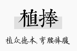 植捧名字的寓意及含义