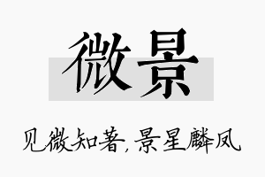 微景名字的寓意及含义