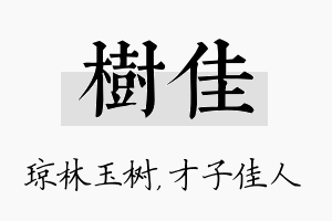 树佳名字的寓意及含义