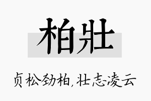 柏壮名字的寓意及含义