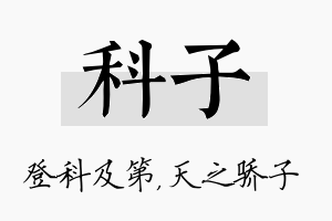 科子名字的寓意及含义