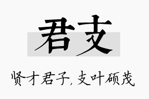 君支名字的寓意及含义