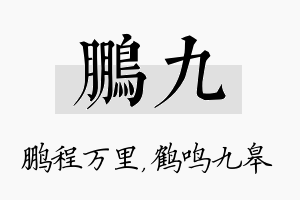 鹏九名字的寓意及含义