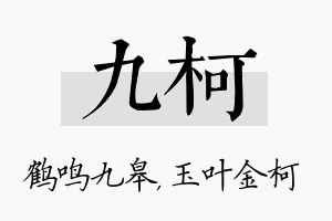 九柯名字的寓意及含义