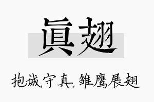 真翅名字的寓意及含义