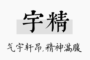 宇精名字的寓意及含义