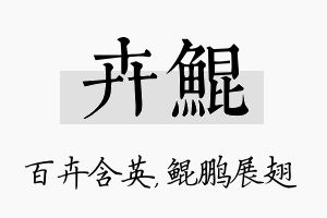 卉鲲名字的寓意及含义