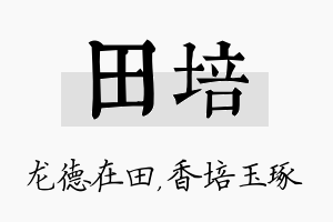 田培名字的寓意及含义