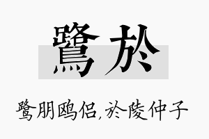 鹭於名字的寓意及含义