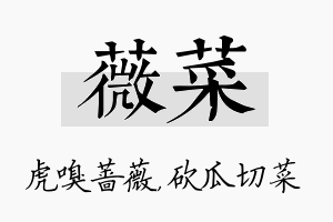 薇菜名字的寓意及含义