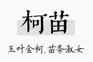 柯苗名字的寓意及含义