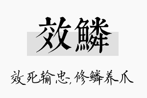 效鳞名字的寓意及含义