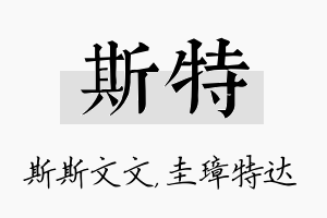 斯特名字的寓意及含义