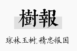 树报名字的寓意及含义