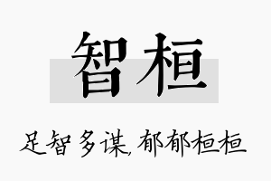 智桓名字的寓意及含义