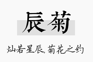 辰菊名字的寓意及含义