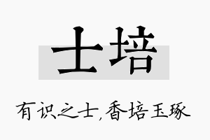 士培名字的寓意及含义