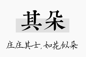 其朵名字的寓意及含义