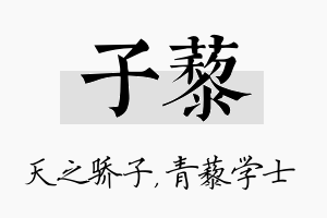 子藜名字的寓意及含义