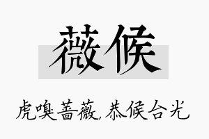 薇候名字的寓意及含义