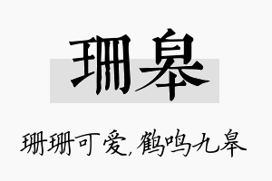 珊皋名字的寓意及含义