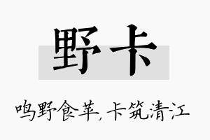 野卡名字的寓意及含义