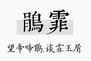 鹃霏名字的寓意及含义