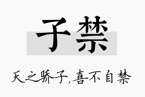 子禁名字的寓意及含义