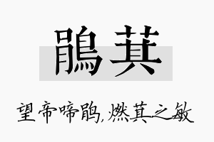 鹃萁名字的寓意及含义