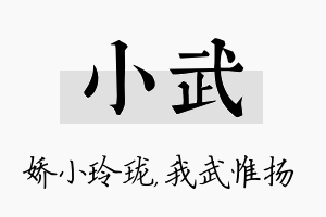 小武名字的寓意及含义