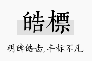 皓标名字的寓意及含义