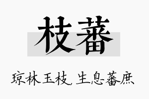 枝蕃名字的寓意及含义