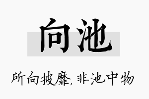 向池名字的寓意及含义