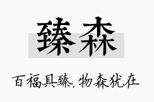 臻森名字的寓意及含义