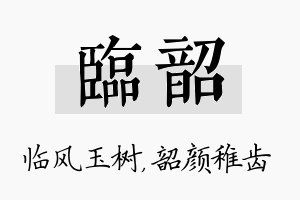 临韶名字的寓意及含义