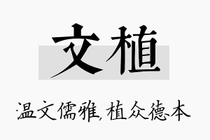 文植名字的寓意及含义