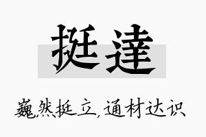 挺达名字的寓意及含义