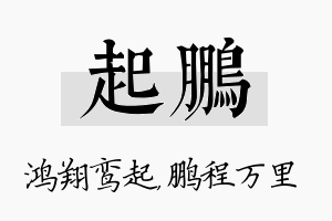 起鹏名字的寓意及含义