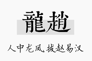 龙赵名字的寓意及含义